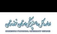 راه اندازی سامانه کد رهگیری فرآورده های خام دامی