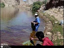 آلودگی نفتی منابع آب منطقه سرخون در استان چهارمحال و بختیاری