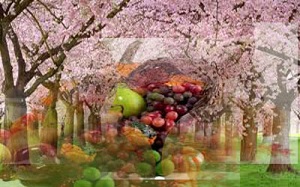 توصیه های غذایی امام رضا علیه السلام برای فصل بهار