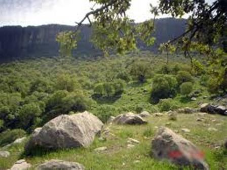 نهادینه شدن فرهنگ حفاظت از منابع ملی در جامعه