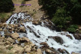 شهرستان اردل پذیرای مسافران نوروزی