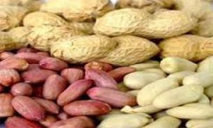 اگر عضلات قدرتمند می‌خواهید این کره را آزمایش کنید