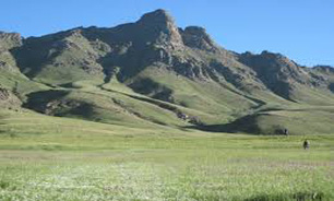 روستایی که دامداری در آن تعطیل است +عکس