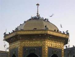 دو دستور اخلاقی از امام رضا علیه السلام