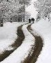 آغاز بارشهای زمستانی در اردبیل