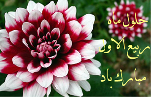 از لیلت المبیت تا میلاد پیامبر مهردوستی/ روزه روز اول ماه ربیع سفارش شده