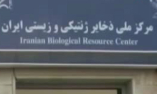 سرقت ژنتیک با یک کلیپ به دست رژیم صهیونیستی کلید خورد + فیلم