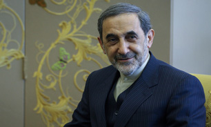 علی‌اکبر ولایتی با رئیس مجلس اعلای اسلامی عراق دیدار کرد