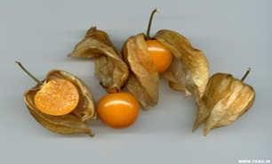 میوه‌ای با خواص استثنایی