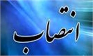 دبیر و اعضای نهمین جشنواره شعر فجر منصوب شدند