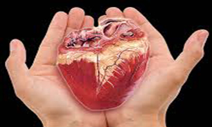 اهدا عضو کودک 5 ساله به سه بیمار نیازمند
