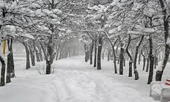 کاهش 10 درجه ای  دما و سفید پوش شدن رشت