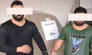 حمله سگ‌ها به پلیس/ دزدان برنج در دام قانون