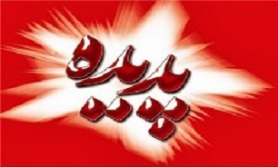 ورود سازمان بازرسی به پرونده 'پدیده'/ واکنش به فرار آقای مدیر