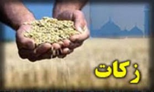 پرداخت زکات در آبیک از مرز 11 میلیارد ریال گذشت