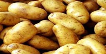 این ۱۰ ماده غذایی را نادرست می‌خوریم!