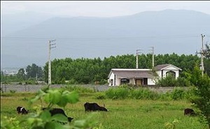 ویلاسازی قارچ گونه در یک منطقه کوهستانی کلاردشت