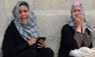 آیا گزارش‌های داعش به دست سرویس‌های اطلاعاتی غرب نمی‌رسد/ پیکارجوهای سوریه در پاریس تروریست شدند +تصاویر