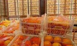 22 هزار تن سیب و 45 هزار تن پرتغال برای عید ذخیره شده است