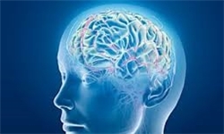 خوراکی‌هایی که تقویت‌کننده حافظه هستند