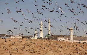 ای اباذر! هر که علم را برای فریب مردم تحصیل کند بوی بهشت را استشمام نکند/دو نعمت است که در آن دو بسیاری از مردم مغبونند