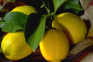 میوه ای برای تقویت اعصاب