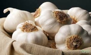 مفید بودن سیر در روند معالجه این بیماری شایع و خطرناک