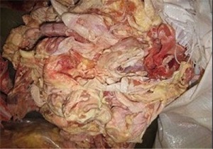 "خمیر مرغ‌" همچنان غیرمجاز