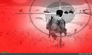 218 شکارچی غیرمجاز در کرمانشاه دستگیر شدند