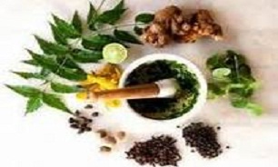 11 گیاه دارویی که باید همیشه در خانه داشته باشید