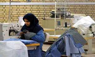 تنها 7.7 درصد از" زنان" شاغل بیمه‌اند
