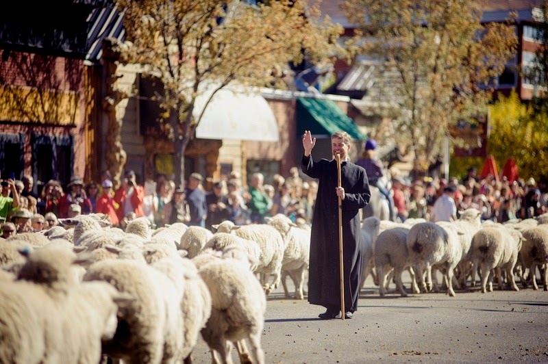 جشنواره سالانه مهاجرت گوسفندان + تصاویر