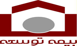 ممنوعیت کلیه فعالیت‌های بیمه‌ای، بیمه توسعه