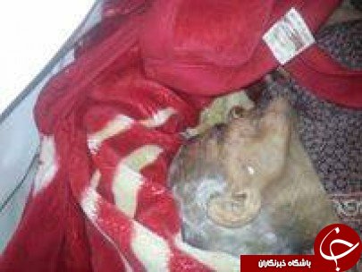محبت و مهربانی از نوع اسراییلی