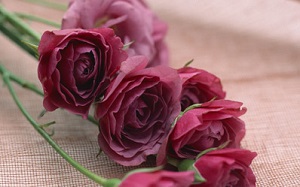 معجزه روس ها برای جوانی!