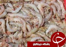 اروپایی&zwnj;ها خریداران اصلی میگوی پرورشی هرمزگان هستند