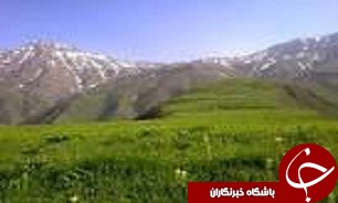 اجرای 170 هکتار پروژه جنگل‌کاری در منطقه الموت غربی