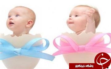 نقش تغذیه در تعیین جنسیت جنین