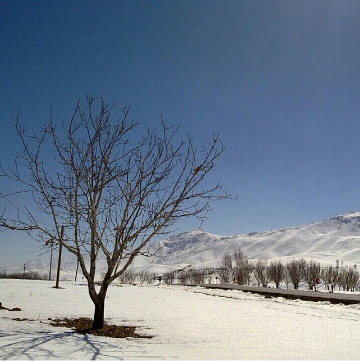تصاویری زیبا از گوشه و کنار کشور عزیزمان [۱۸] + عکس