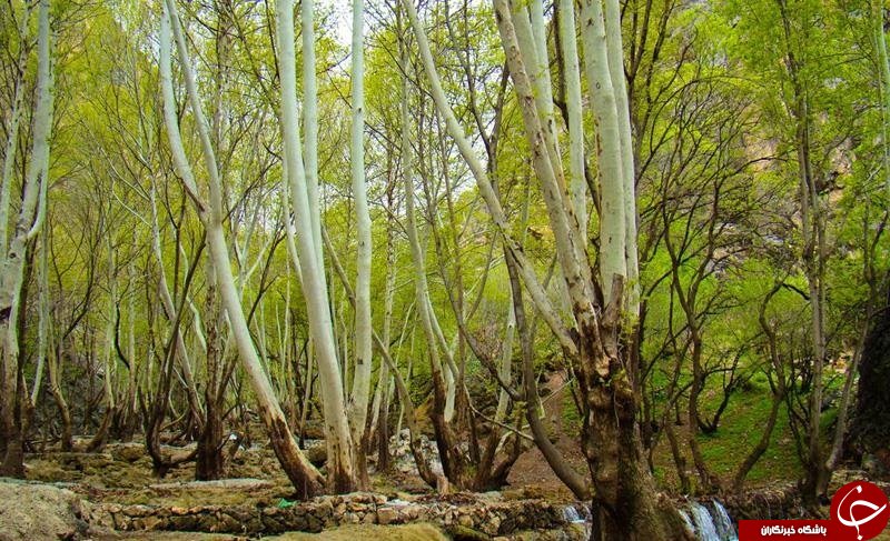 تصاویری از بهشت گمشده ایران زمین