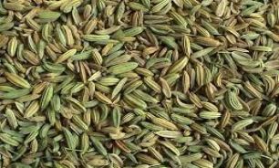 می خواهید لاغر شوید؟ از این ادویه در تمام غذاهایتان بریزید!