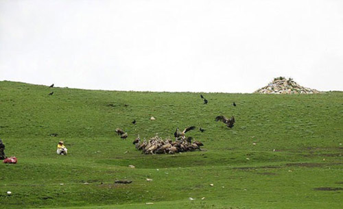 کسانی که مردگان خود را خوراک کرکس ها می کنند / تصاویر