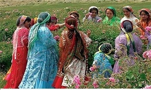 برگزاری جشنواره فرهنگ و هنر در کردستان