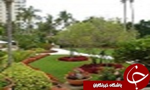 تجلیل از ایده های برتر در حوزه پارکها و فضای سبز قزوین
