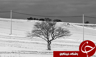 طبیعت برفی بجنورد به روایت تصویر