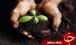سبد کودی کشور متنوع خواهد شد/ کارت نهاده&zwnj; در اختیار کشاورزان قرار خواهد گرفت