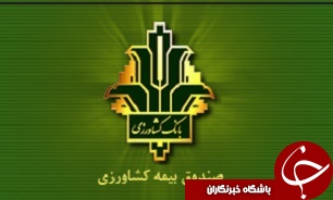 صندوق بیمه کشاورزی به سرمایه بالغ بر 400 میلیارد تومان نیاز دارد.