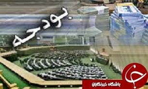 هزینه شرکت‌های دولتی در بودجه عمومی محاسبه نمی‌شود/ دولت باید از راه‌های جبرانی با وضعیت فعلی مبارزه کند