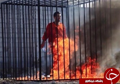 گاردین: قتل قساوت‌آمیز خلبان اردنی به واکنش اهل سنت ضد داعش می‌انجامد