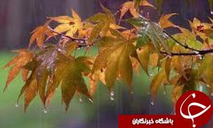 کاهش دما در سواحل دریای خزر و شمال شرق کشور/ تهران، نیمه ابری و در پاره‌ای نقاط بارش پراکنده